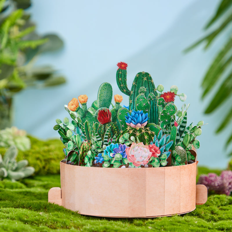 cactus-plants-pop-up-flower-pot