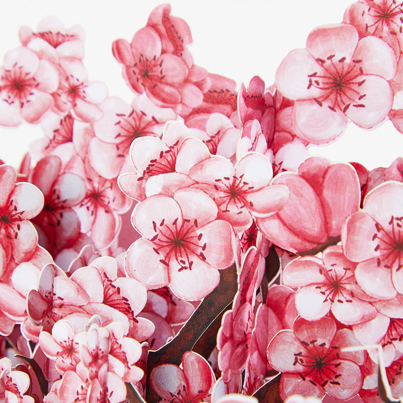 cherry-blossom-pop-up-flower-box-